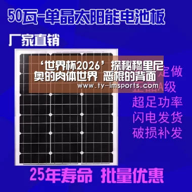 体育投注