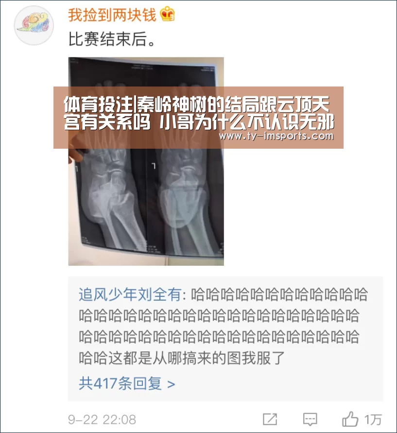 体育投注|秦岭神树的结局跟云顶天宫有关系吗 小哥为什么不认识无邪(图1) 世界杯2026