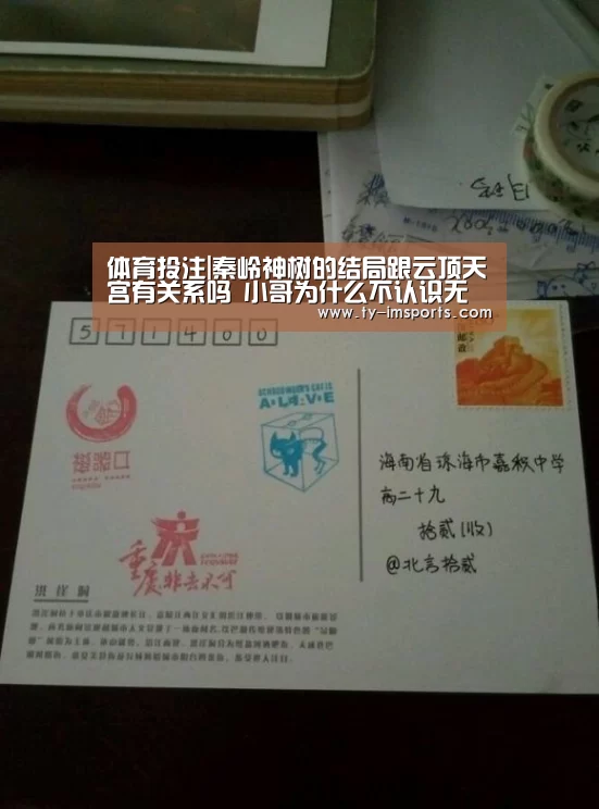 体育投注|秦岭神树的结局跟云顶天宫有关系吗 小哥为什么不认识无邪(图2) im足球