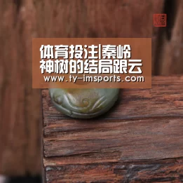 体育投注|秦岭神树的结局跟云顶天宫有关系吗 小哥为什么不认识无邪(图4) im体育投注