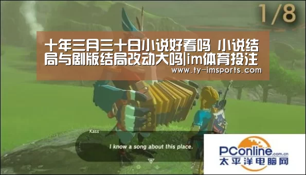 im足球