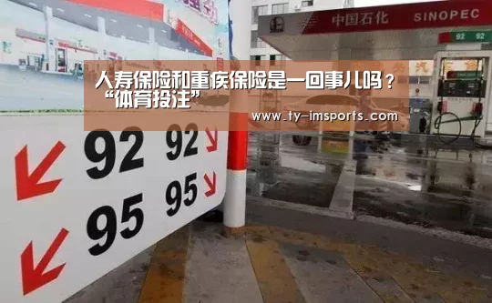 im体育投注
