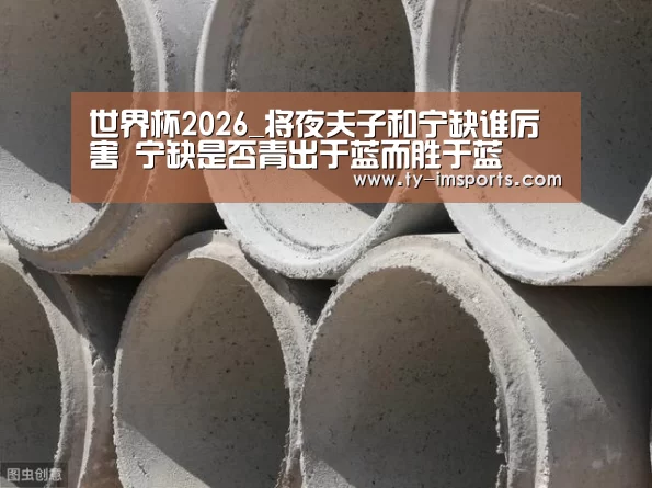 世界杯2026_将夜夫子和宁缺谁厉害 宁缺是否青出于蓝而胜于蓝(图4) 体育投注