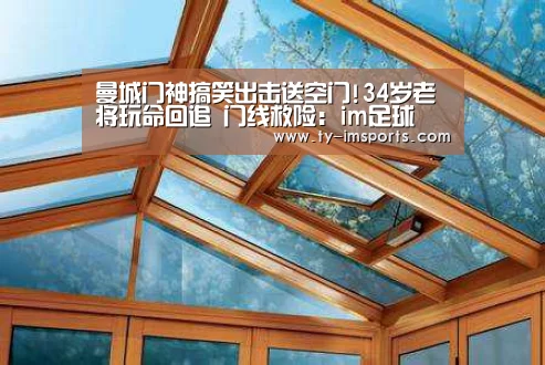 曼城门神搞笑出击送空门!34岁老将玩命回追 门线救险:im足球(图3) im体育投注